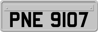 PNE9107