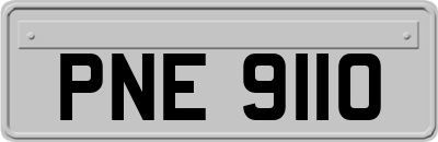 PNE9110