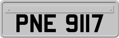 PNE9117