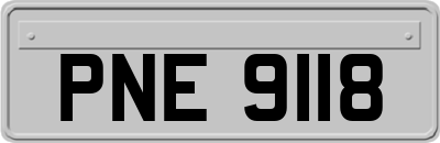 PNE9118