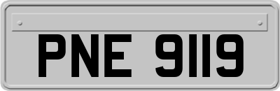 PNE9119