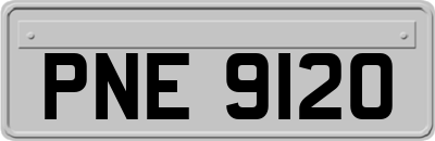 PNE9120