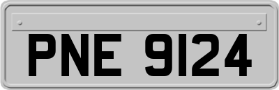 PNE9124