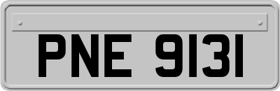 PNE9131