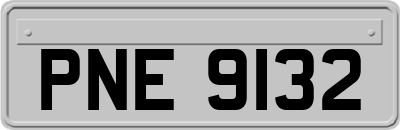 PNE9132