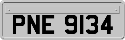 PNE9134