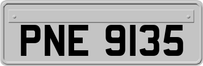 PNE9135