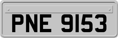 PNE9153