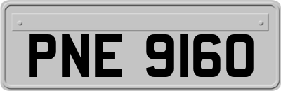 PNE9160