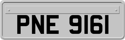 PNE9161