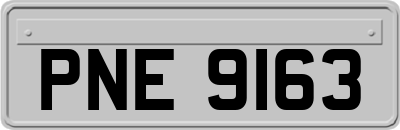 PNE9163