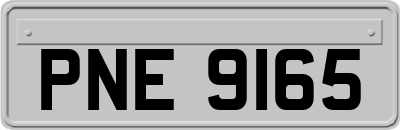 PNE9165