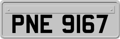 PNE9167