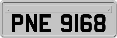 PNE9168