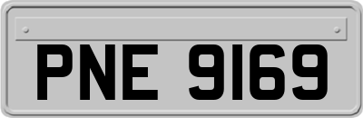 PNE9169