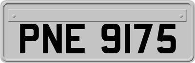 PNE9175
