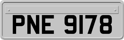 PNE9178