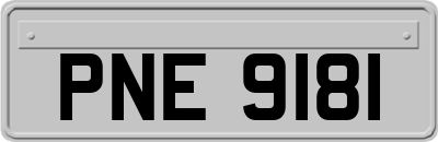 PNE9181