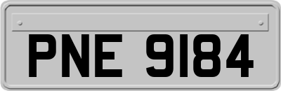 PNE9184