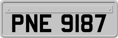 PNE9187