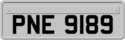 PNE9189