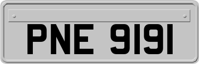 PNE9191