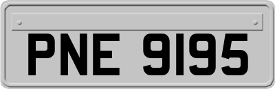 PNE9195