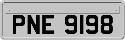 PNE9198