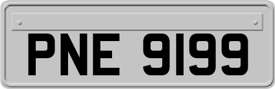 PNE9199