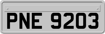 PNE9203