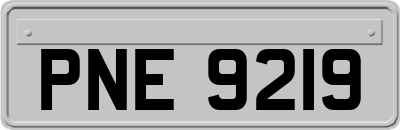 PNE9219