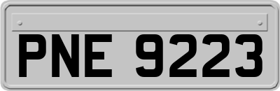 PNE9223