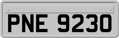 PNE9230