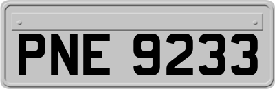 PNE9233