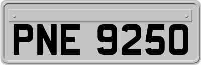 PNE9250
