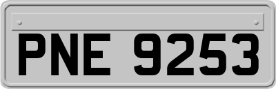 PNE9253