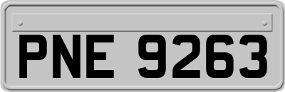 PNE9263
