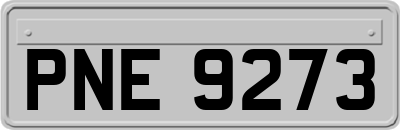 PNE9273