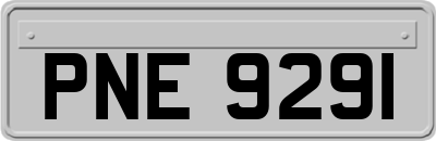 PNE9291