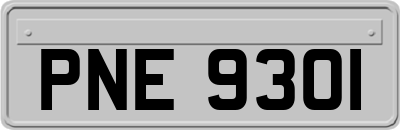 PNE9301