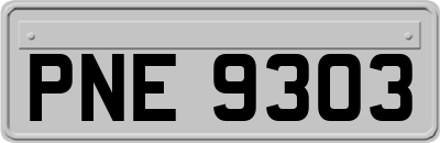 PNE9303