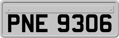 PNE9306