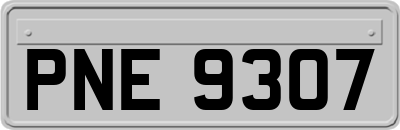 PNE9307