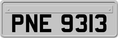 PNE9313
