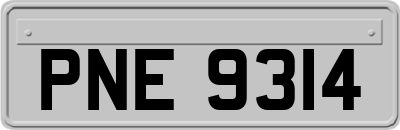 PNE9314