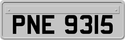 PNE9315