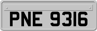 PNE9316