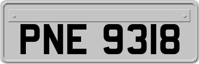 PNE9318
