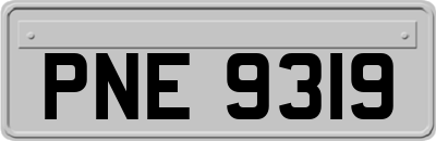 PNE9319