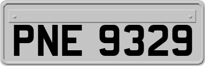 PNE9329